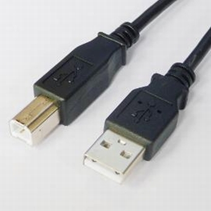 Изображение Kabelis Brackton USB Male - USB Male B 3m Black