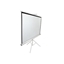 Изображение Elite Screens | Tripod Series | T85NWS1 | Diagonal 85 " | 1:1 | Viewable screen width (W) 152 cm | White