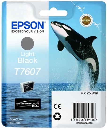 Picture of Epson ink cartridge light black T 7607