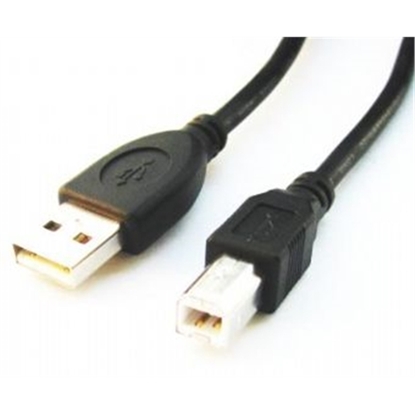 Picture of Kabelis Gembird USB Male - USB Male B 1.8m Black