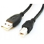 Attēls no Kabelis Gembird USB Male - USB Male B 1.8m Black