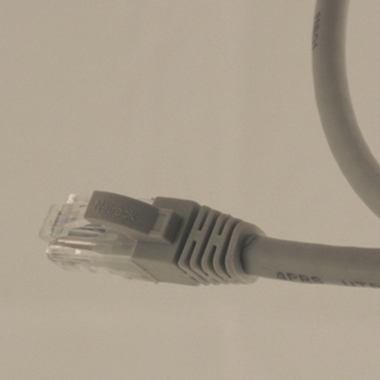 Picture of NetRack patch cord cat.6 RJ45 1mb zalewany szary (BZPAT16)