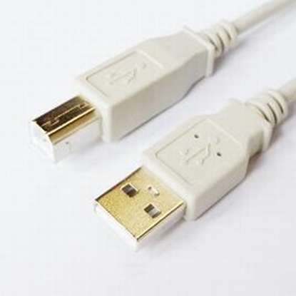 Изображение Kabelis Brackton USB Male - USB Male B 3m White