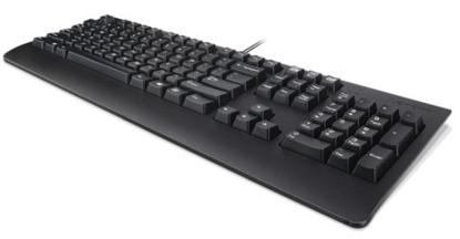 Изображение Lenovo Preferred Pro II keyboard USB QWERTY Finnish, Swedish Black