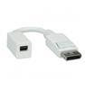 Picture of ROLINE DisplayPort Adapter, DP M - Mini DP F