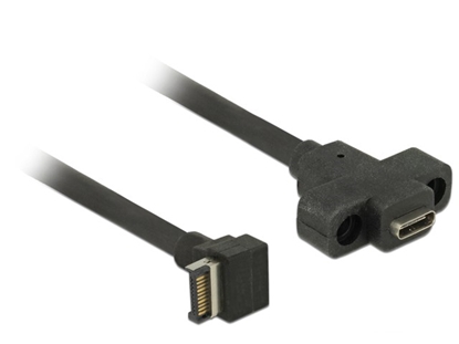 Изображение Delock Cable USB 3.1 Gen 2 key A 20 pin male > USB 3.1 Gen 2 USB Type-C™ female panel-mount 45 cm