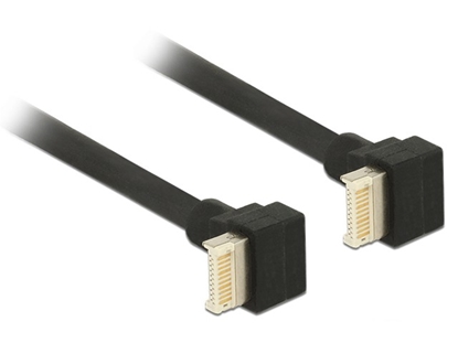 Изображение Delock Cable USB 3.1 Gen 2 key B 20 pin male > USB 3.1 Gen 2 key B 20 pin male 45 cm