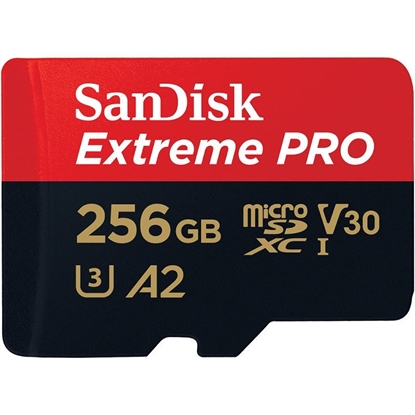 Изображение Karta SanDisk Extreme PRO MicroSDXC 256 GB Class 10 UHS-I/U3 A2 V30 (SDSQXCZ-256G-GN6MA)