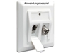 Picture of Delock Keystone Wall Outlet 2 Port