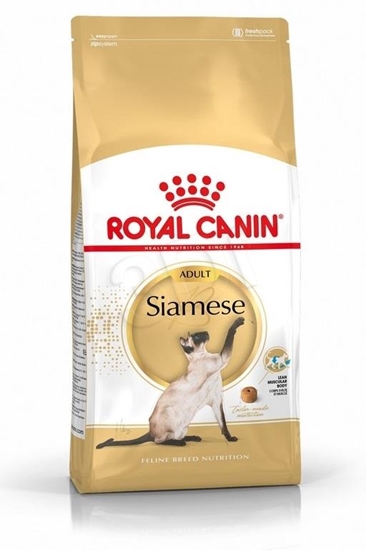 Picture of ROYAL CANIN Siamese Adult - dry cat food - 2 kg