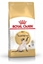 Attēls no ROYAL CANIN Siamese Adult - dry cat food - 2 kg