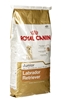 Picture of ROYAL CANIN SHN Breed Labrador Junior dry dog food - 12 kg