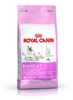 Изображение Royal Canin Mother & Babycat cats dry food 4 kg Adult Poultry