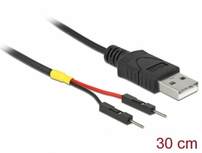 Изображение Delock USB Power Cable Type-A to 2 x pin header male separate power 30 cm