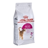 Picture of Royal Canin Feline Preference Aroma Exigent - dry cat food Adult Fish - 2 kg