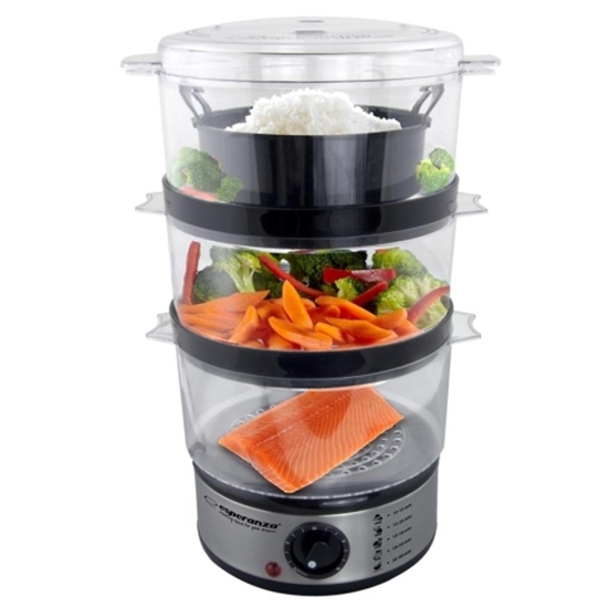 Picture of Esperanza EKG009 STEAMER 400W