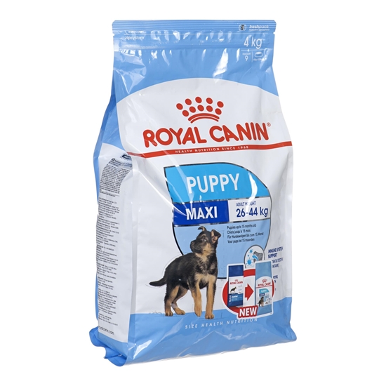 Picture of Royal Canin SHN Maxi Puppy - dry puppy food - 4kg