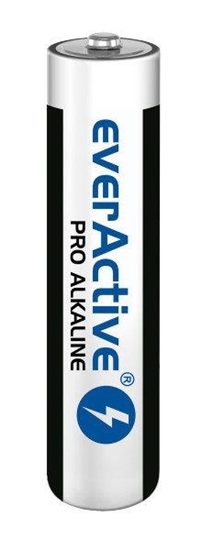 Изображение Alkaline batteries AAA / LR03 everActive Pro - 4 pieces (blister)