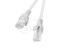 Изображение Lanberg PCU5-10CC-0025-S networking cable Grey 0.25 m Cat5e U/UTP (UTP)