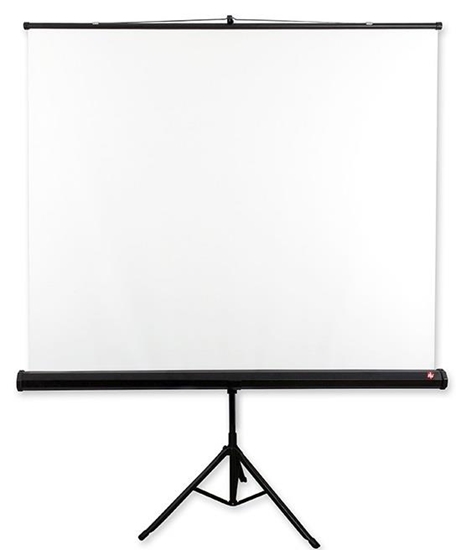 Picture of Avtek Tripod Standart 175 projection screen 1:1