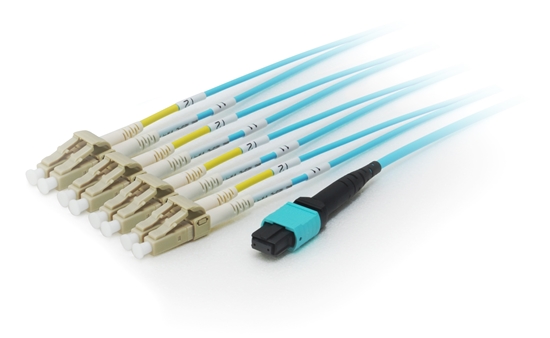 Picture of Equip MTP/MTP Trunk Fiber Optic Patch Cable, OM4, 7m