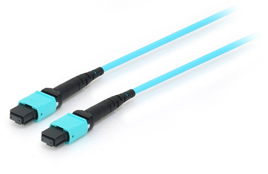 Picture of Equip MTP/MTP Trunk Fiber Optic Patch Cable, OM4, 20m