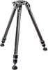 Изображение Gitzo tripod Systematic GT3533S