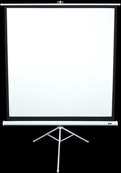 Изображение Tripod Series | T113NWS1 | Diagonal 113 " | 1:1 | Viewable screen width (W) 203 cm | White