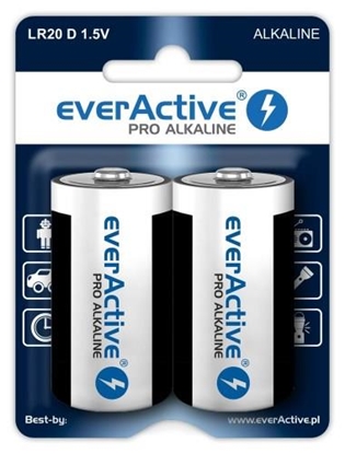 Picture of Alkaline batteries everActive Pro Alkaline LR20 D - blister card 2 pieces