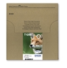 Picture of Epson Fox Multipack 4-colours T128 EasyMail