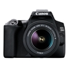 Picture of Canon EOS 250D + EF-S 18-55mm f/3.5-5.6 III SLR Camera Kit 24.1 MP CMOS 6000 x 4000 pixels Black