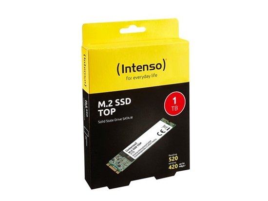 Picture of Intenso M.2 SSD TOP          1TB SATA III
