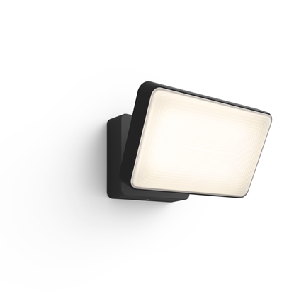 Изображение Philips Hue White and colour ambience Discover Outdoor Floodlight