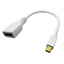 Изображение ROLINE DisplayPort Adapter, DP F - Mini DP M