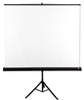 Picture of Avtek Tripod Standart 175 projection screen 1:1