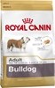 Picture of ROYAL CANIN Bulldog Adult - dry dog food - 12 kg