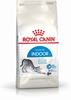 Picture of Royal Canin FHN Indoor - dry food for adult cats - 4kg
