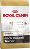 Изображение Royal Canin SHN Breed Jack Russell Junior - Dry dog food Poultry,Rice - 3 kg
