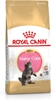 Изображение Royal Canin FHN Kitten - dry kitten food - 4kg