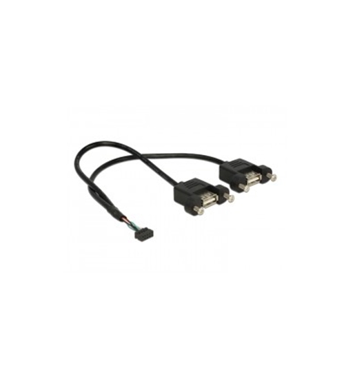 Picture of Delock Cable USB 2.0 pin header female 2.00 mm 10 pin - 2 x USB 2.0 Type-A female panel-mount 25 cm