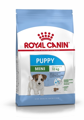 Picture of Royal Canin SHN Mini Puppy - dry puppy food - 4kg