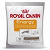 Picture of Royal Canin NUTRITIONAL SUPPLEMENT ENERGY - wet dog food - 50 g