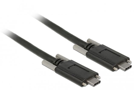 Picture of Delock Cable SuperSpeed USB 10 Gbps (USB 3.1 Gen 2) USB Type-C™ male > USB Type-C™ male with screws on the sides 1 m black