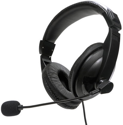 Attēls no Fiesta headset FIS7510 (45423)