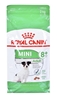 Picture of ROYAL CANIN Mini Adult +8 - dry dog food - 2 kg