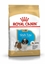 Изображение ROYAL CANIN Shih Tzu Puppy 0.5kg