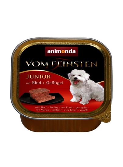 Picture of ANIMONDA Vom Feinsten Junior Beef with poultry - wet dog food - 150g