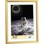 Attēls no ZEP New Easy gold          10x15 Resin Frame KG1