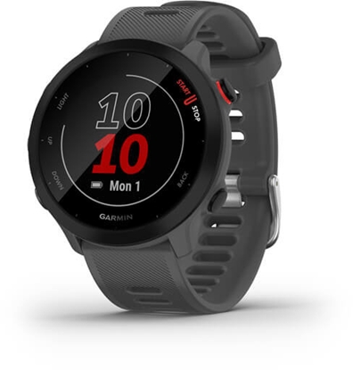 Attēls no Garmin Forerunner 55 grey