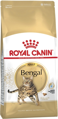 Attēls no Royal Canin FBN Bengal Adult - dry cat food - 10kg